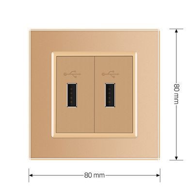 Розетка подвійна USB з блоком живлення Livolo золото скло (VL-C792U-13)