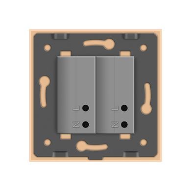 Розетка подвійна USB з блоком живлення Livolo золото скло (VL-C792U-13)