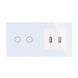 Сенсорный выключатель 2 канала Livolo с двумя USB розетками белый стекло (VL-C702/2USB-11)