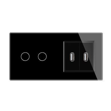 Сенсорный выключатель 2 канала Livolo с двумя USB розетками черный стекло (VL-C702/2USB-12)
