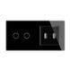 Сенсорный выключатель 2 канала Livolo с двумя USB розетками черный стекло (VL-C702/2USB-12)