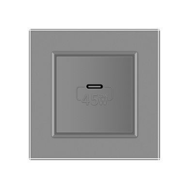 Розетка USB type C с блоком питания 45W Livolo серый (VL-C7-FCUC-2IP)
