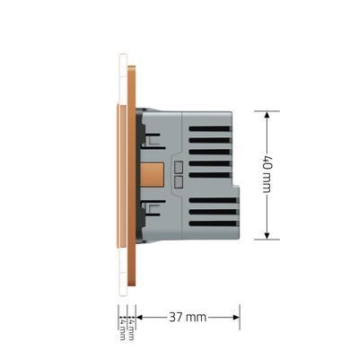 Електрична розетка з портом USB-C Livolo золото (VL-C7CTF16A.UC18W-2AP)